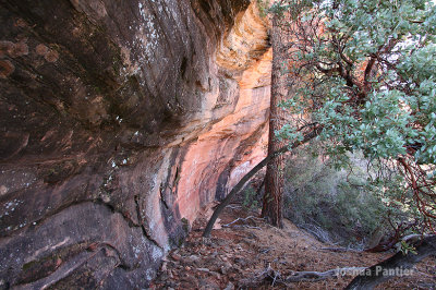 Sedona05.jpg