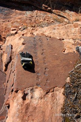 Sedona18.jpg