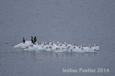 Alaska030.jpg