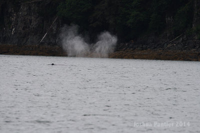 Alaska079.jpg