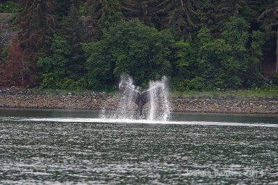 Alaska083.jpg