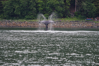Alaska085.jpg