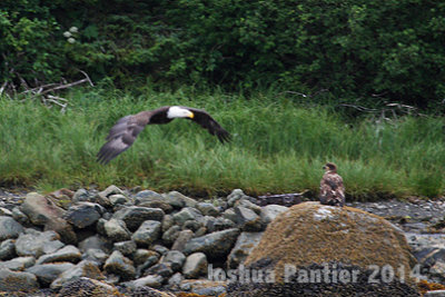 Alaska091.jpg