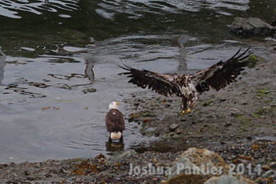 Alaska094.jpg