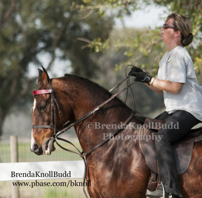 81 Teri Kaylor on Intoxicating Gypsy; Barn Serenity