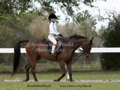 56/57 Marisa Gainey on My New Toi; Barn Arbordale
