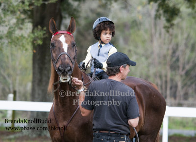 87 Zane Revantes on Baby Doll; Barn Serenity
