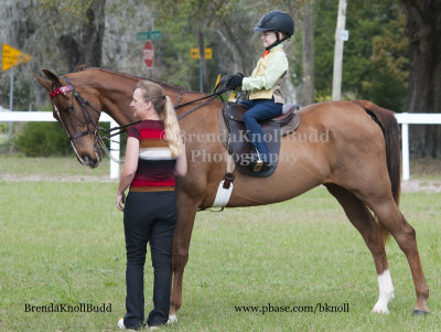 70 Sydney King on Sanibel; Barn Sailwinds