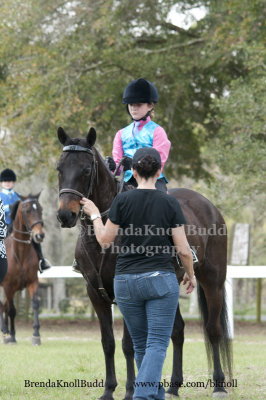 53 Skylar Gutin on Van Lu Annabella: Barn West Coast Morgans