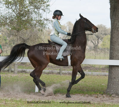 71 Graceanne Hoback on Harvie Krumpet; Barn Suncoast