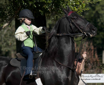 Serenity Horse Show Oct 19th, 2014
