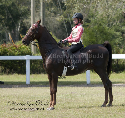 118 Graceanne Hoback on McGwire, Suncoast Stables and Riding Academy