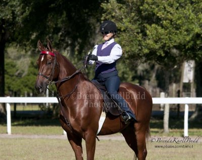 121 Irina Sherman on In My Wildest Dreams, Avalon Riding Academy and Stables