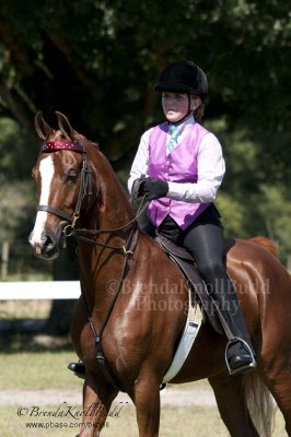 125 Amanda Mclaughlin on Absolutely Bewitched, Avalon Riding Academy and Stables 