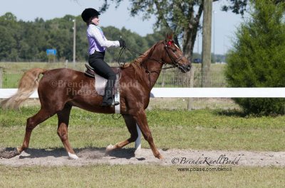 127 Lauren Hegwood on Jewel of the Opera, Avalon Riding Academy and Stables