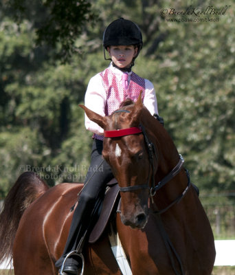 128 Katelyn Hatton on In My Wildest Dreams, Avalon Riding Academy and Stables