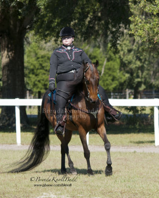 140 Stephanie Shimer on Sassafrass Hills Second the Motion, Five Gaits Stables
