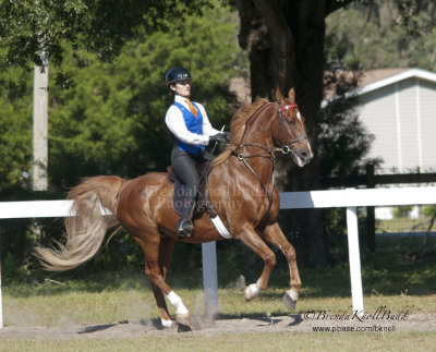 148 Kylie Cordova on Hoppy, Hawkewood Farm Stables