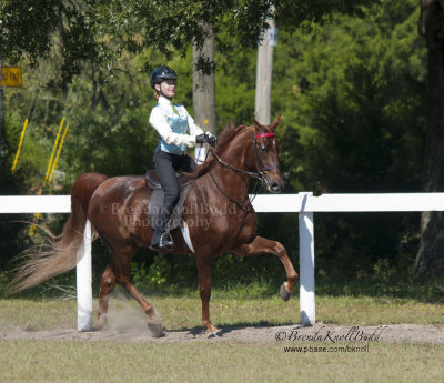 149 Hannah Wears on Pete, Champagne Stables, LLC