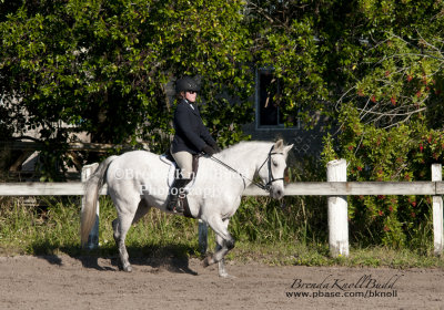 53.	Pony English Equitation