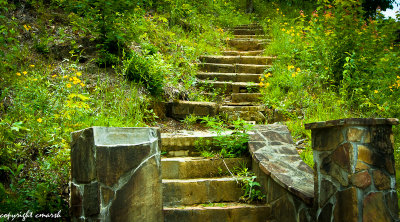 _DSC0072.jpg