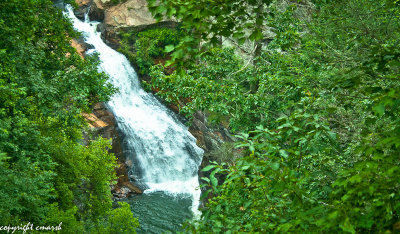 _DSC0062.jpg