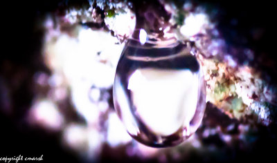 CLM_9210.jpg - Droplet