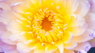 CLM_0041.jpg