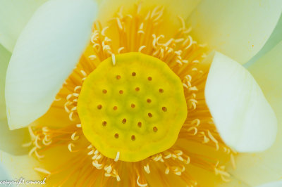 CLM_0045.jpg