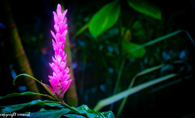 CLM_0058.jpg