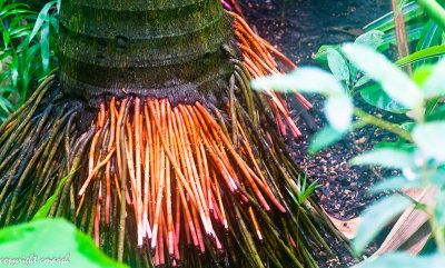 CLM_0059.jpg