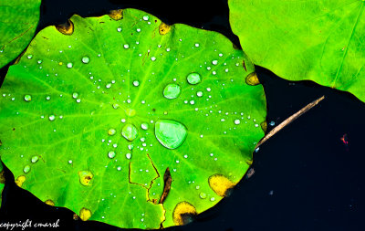 CLM_0026.jpg