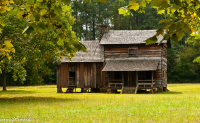 CLM_0828.jpg