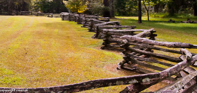 CLM_0841.jpg