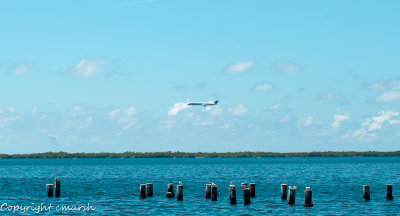 CLM_1977.jpg - Coming In for Landing
