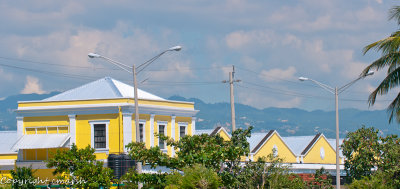 CLM_1981.jpg - Colours