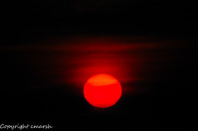 DSC_0409.jpg