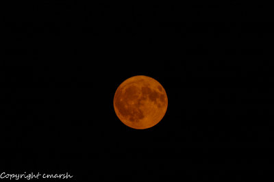 DSC_0670.jpg