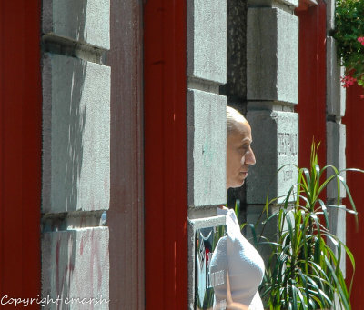 DSC_0061.jpg