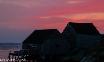 DSC_0433.jpg