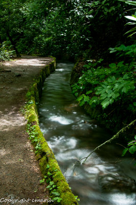 CLM_5769.jpg