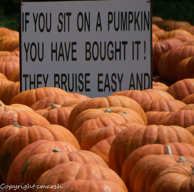 RMR_0750.jpg