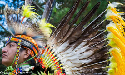 POW WOW - (Cherokee Indian Arts Festival)