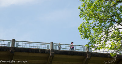 RMR_3741.jpg