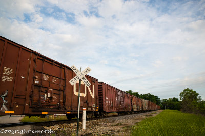 RMR_3943.jpg