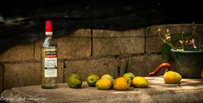 RMR_5587.jpg - Still Life