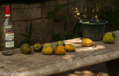 RMR_5591.jpg - Still Life II