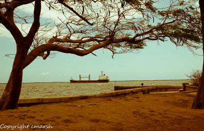 RMR_6726.jpg ..I took a trip on a sailing ship and when I reached Jamaica I made a stop