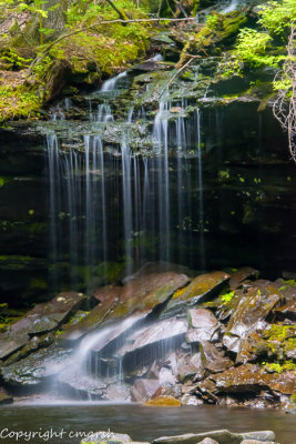 Ricketts Glen Waterfalls Tour - Pennsylvania