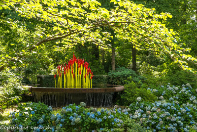 Chihuly In The Garden - Atlanta Botanical Garden